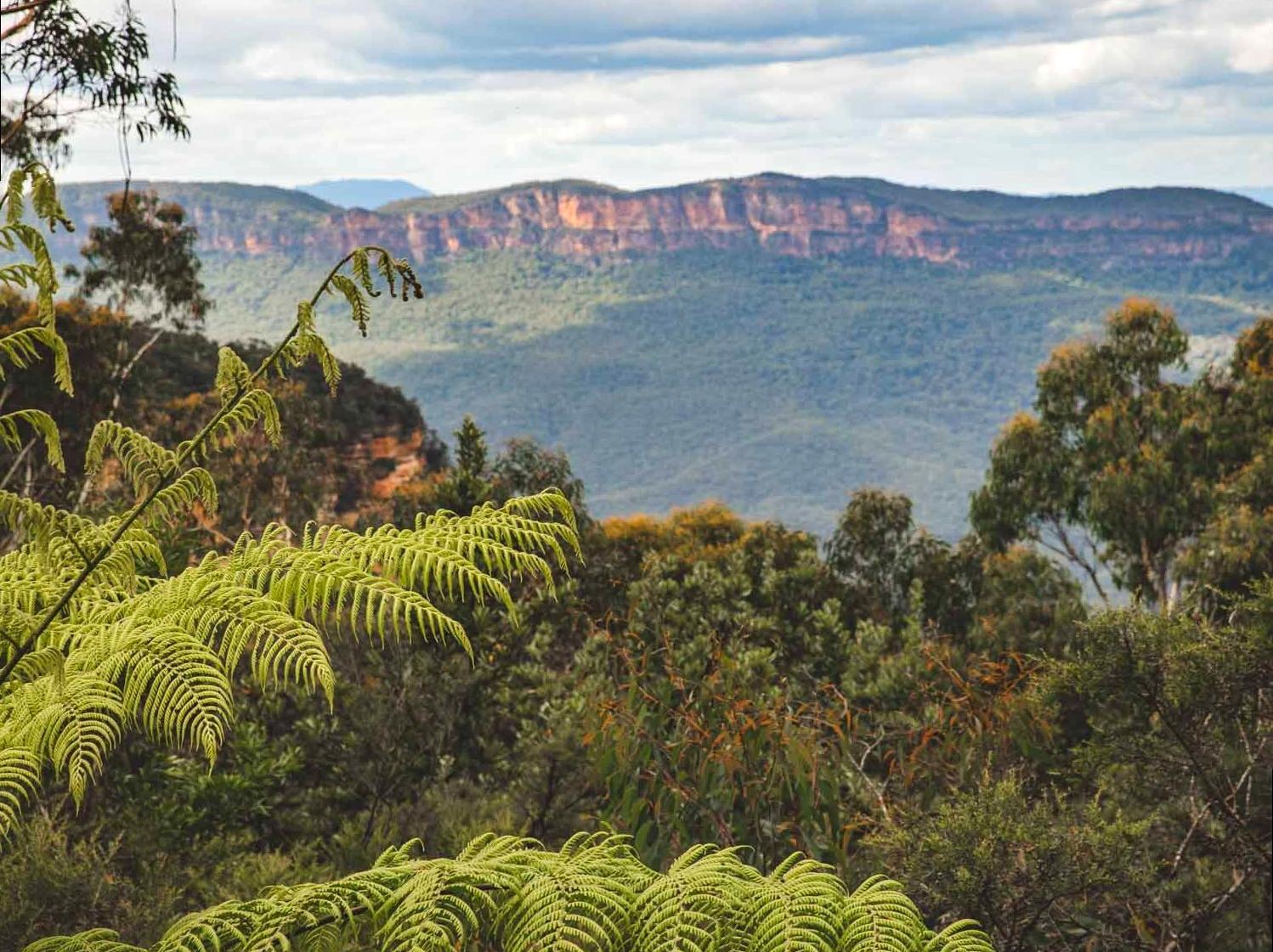 Visit the Conservation Hut: Entryway to Spectacular Nature Walks