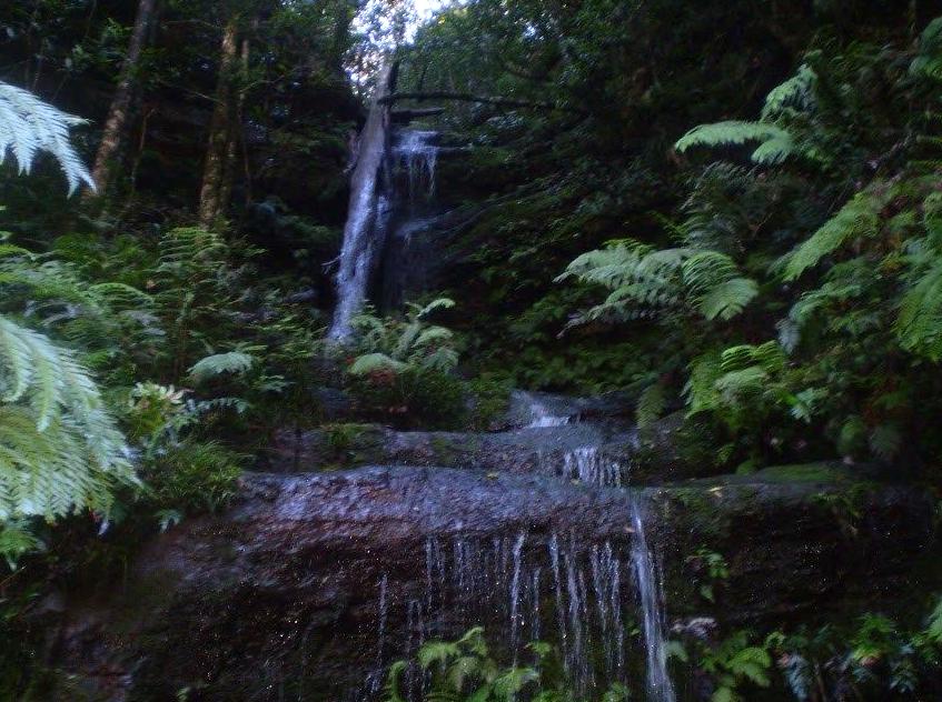 Conservation Hut Experience: Launching into Enchanting Hikes