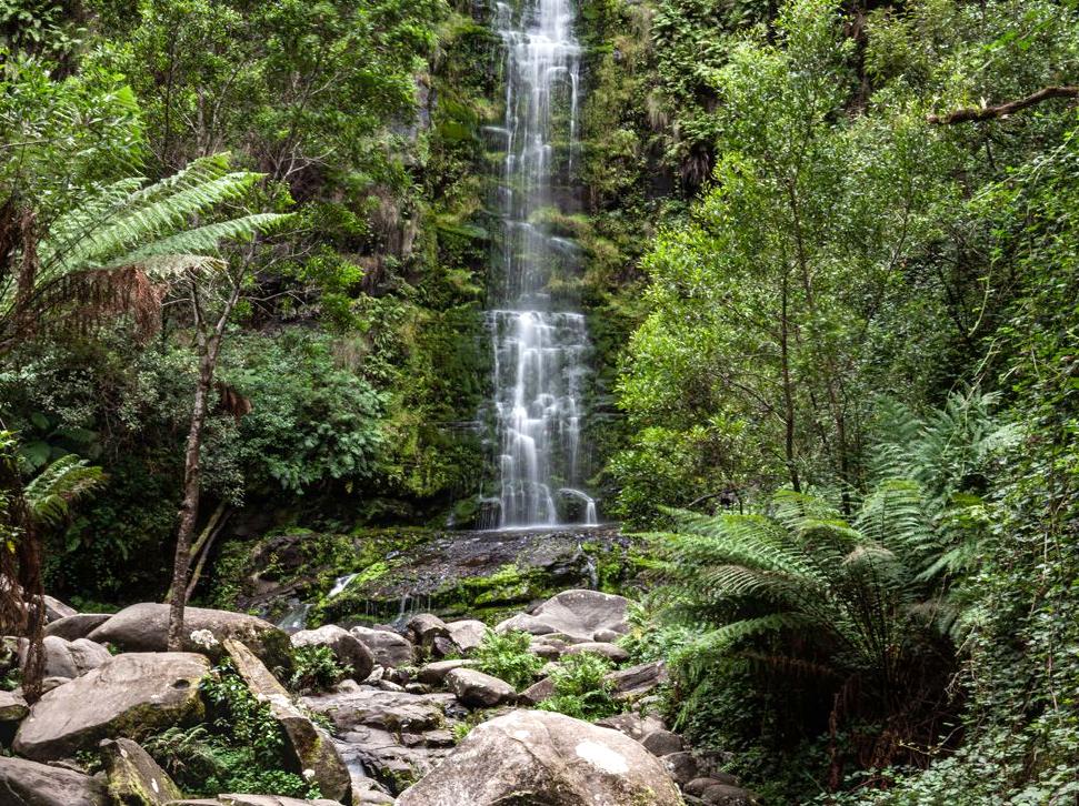 Johanna Falls: Stunning Waterfall in Otway National Park