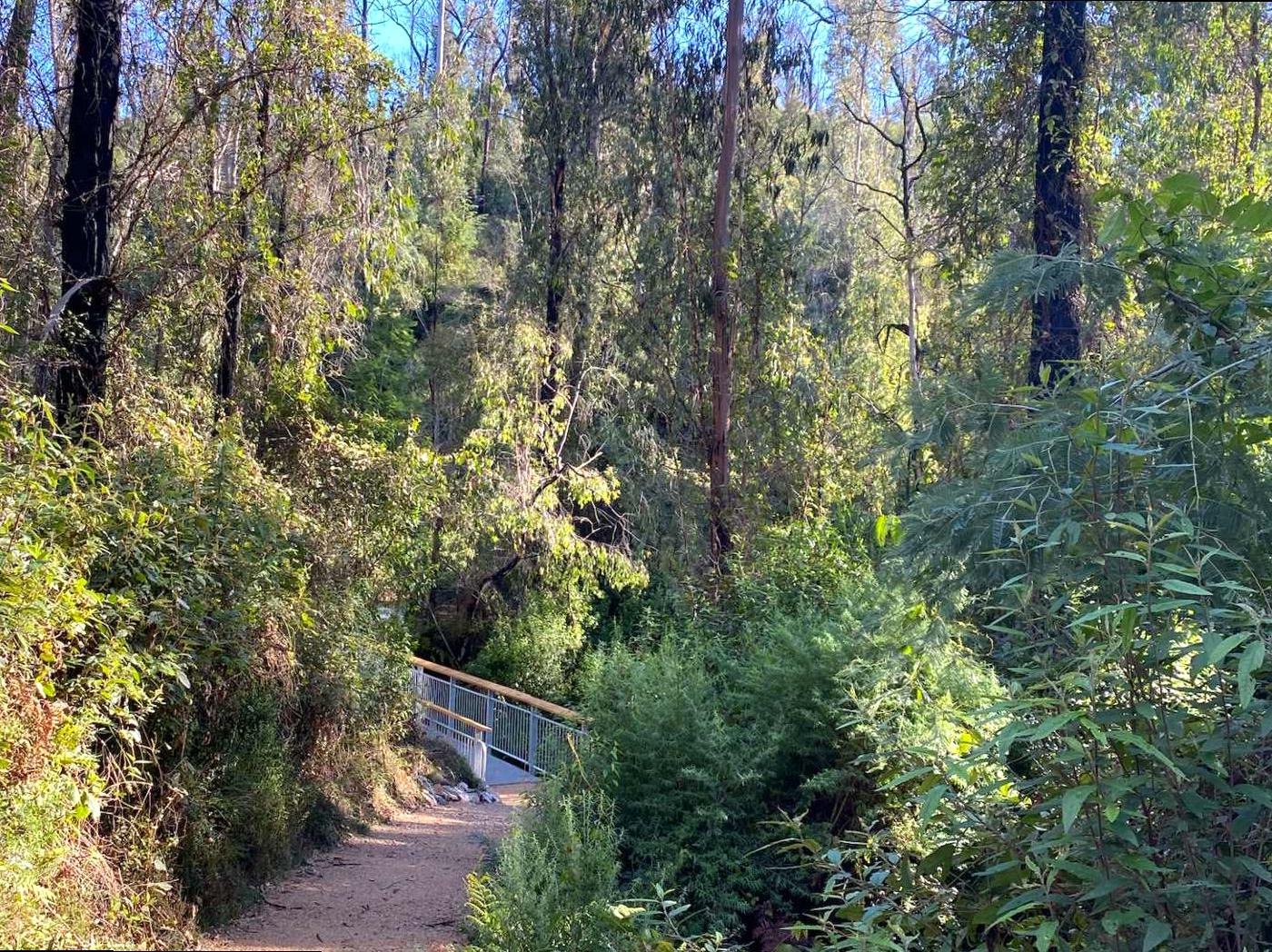 Journey through the Enchanted Fairy Dell