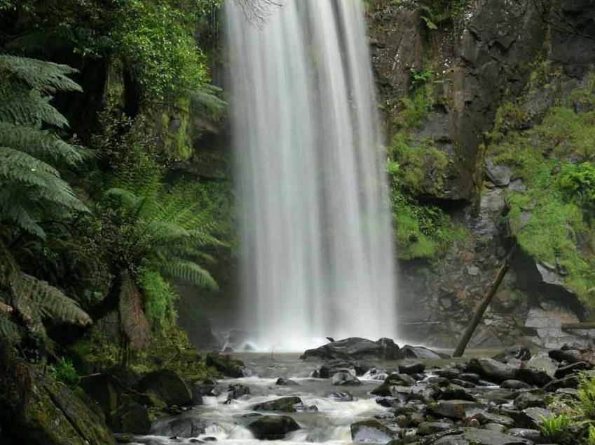 Explore Johanna Falls: Picturesque Cascade in the Otways