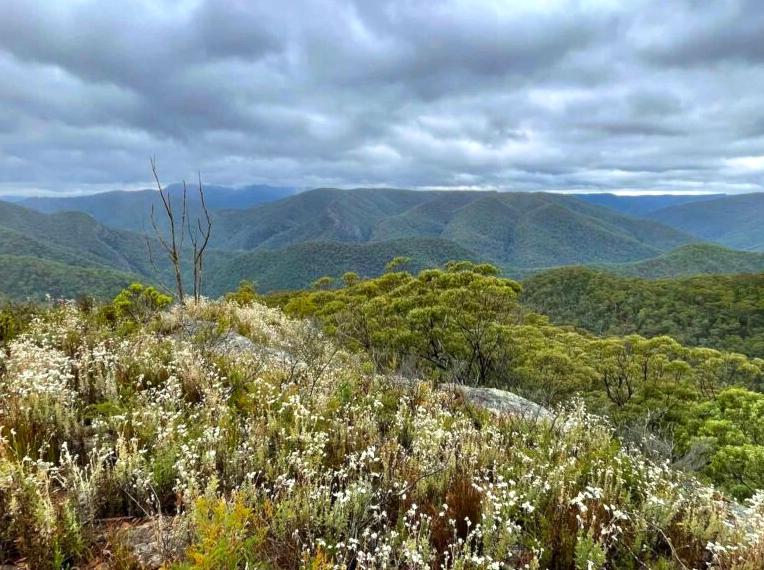 blackopsforum | Wild Dog Mountains: Adventure hiking in the Wild Dog Mountains.