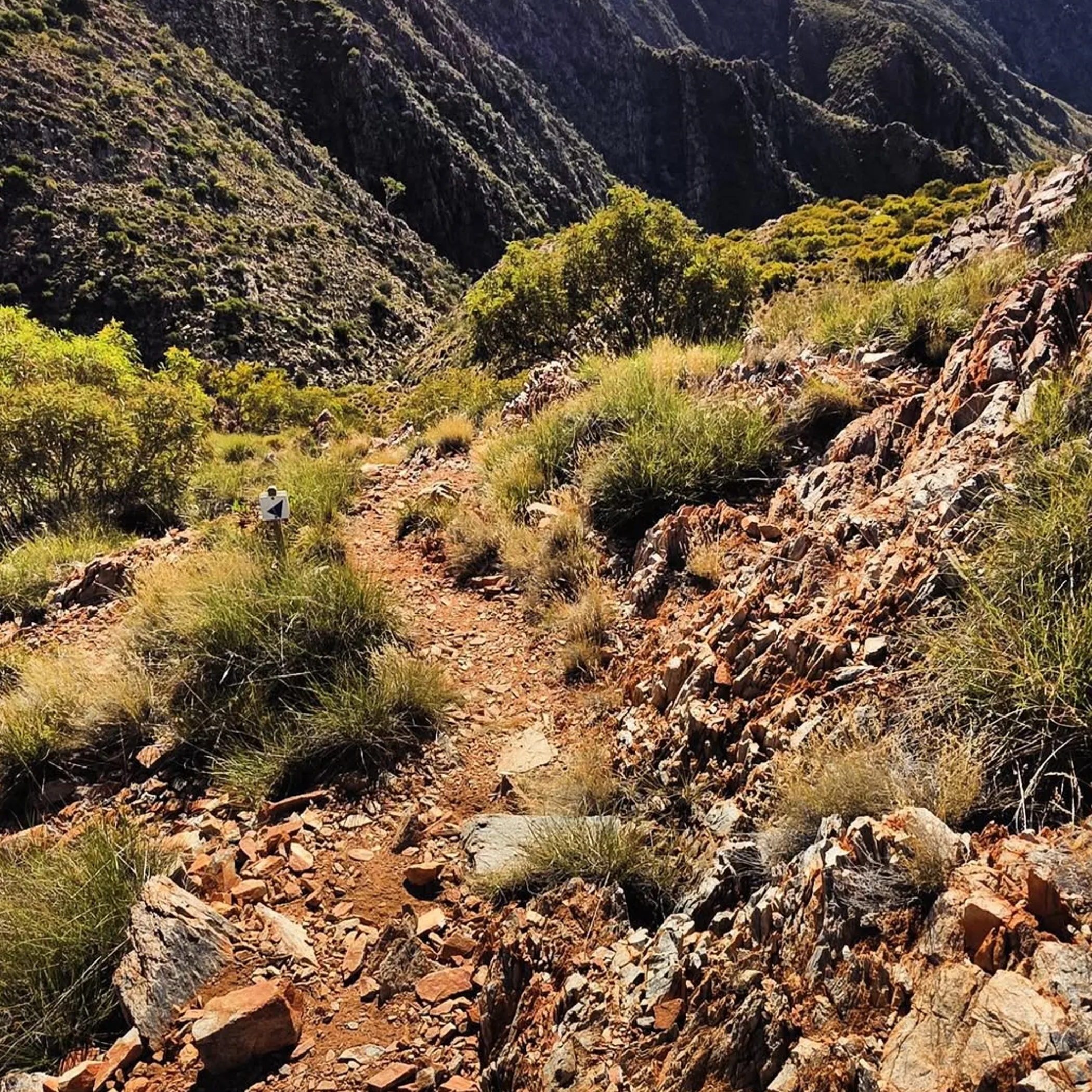 hiking trail in natural landscape