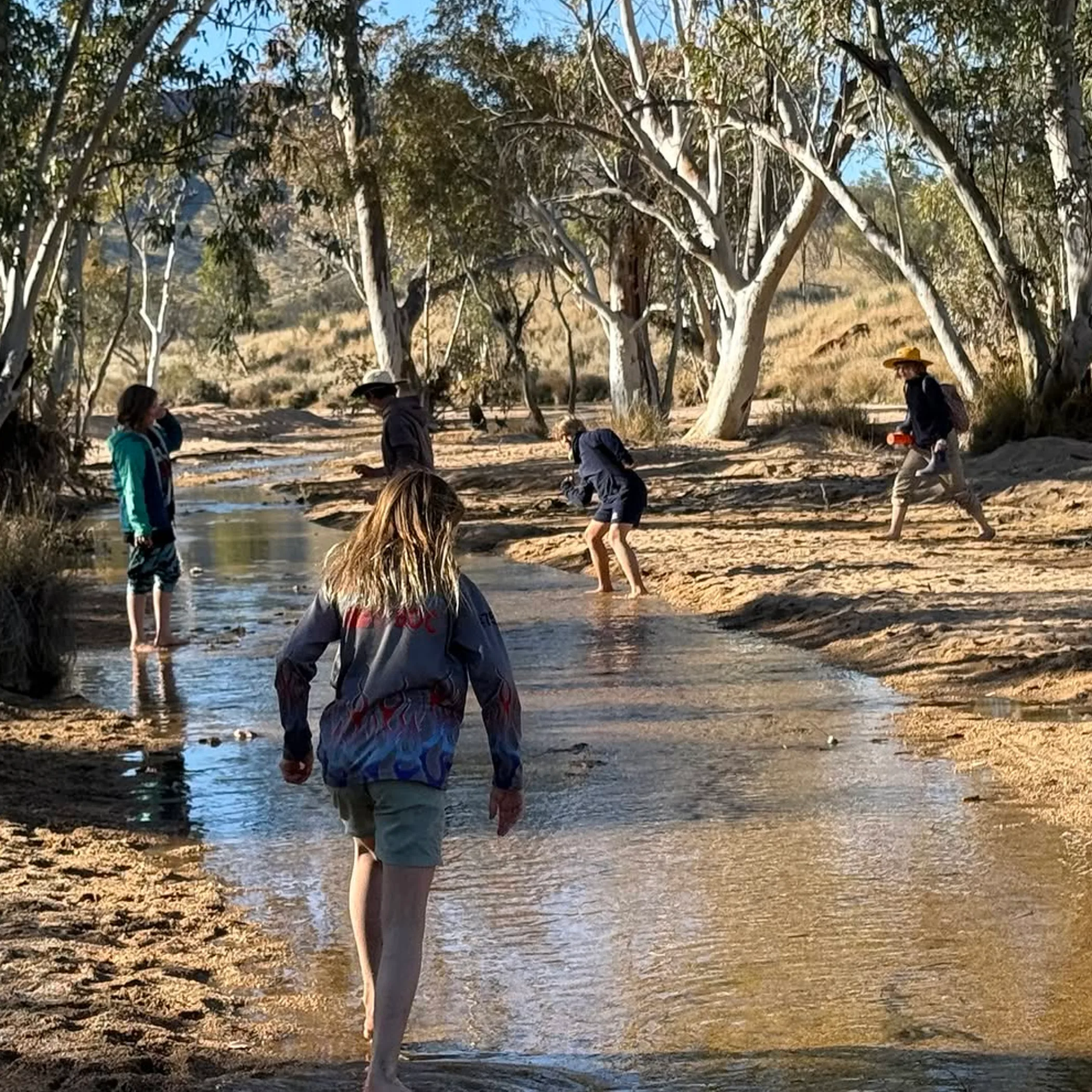 people trekking outdoors on trail