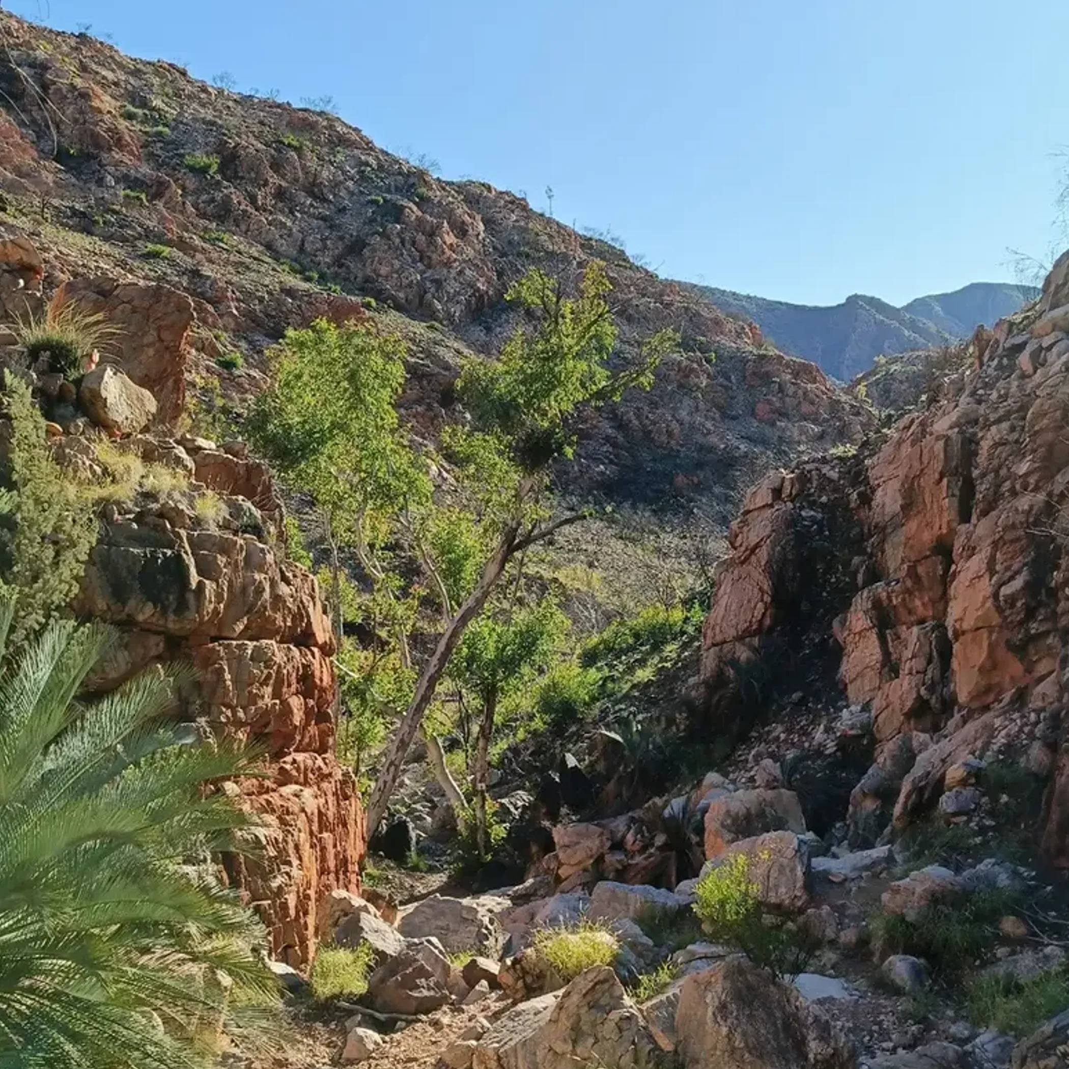 counts point natural landscape view
