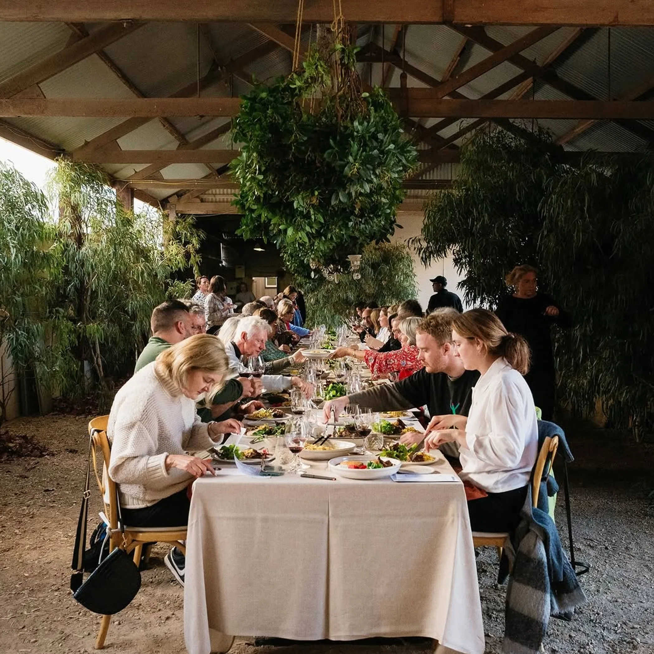 long lunch with local wine and food