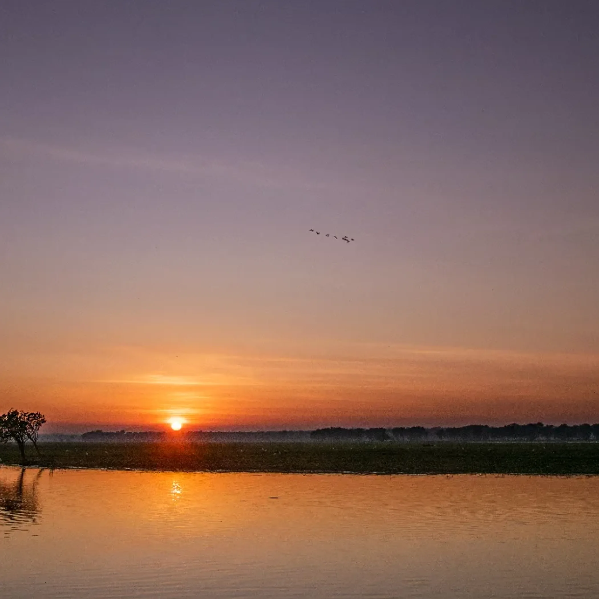 kakadu national park wetlands